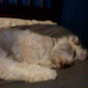 Meet your Posher, Ethan